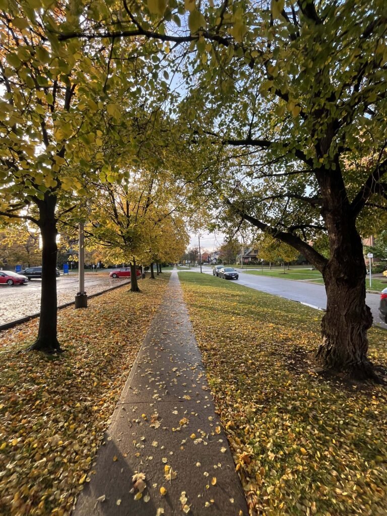 The Beauty of Fall in Canada 🍁